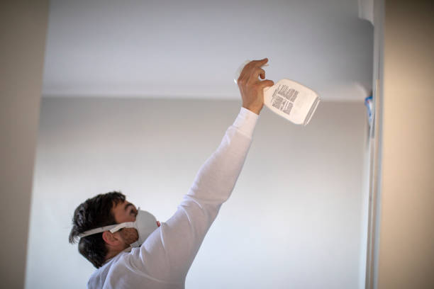 Best Mold Cleaning Services  in Konterra, MD