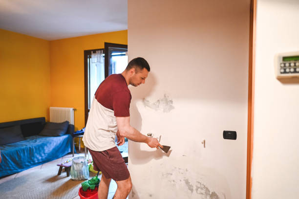 Best Certified Mold Removal  in Konterra, MD